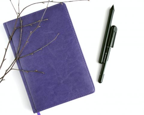purple leather notebook black pen and brown branches