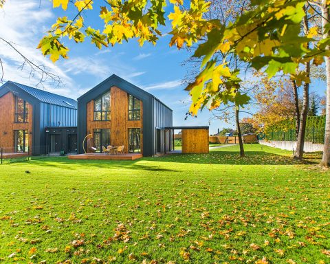 beautiful wooden houses with lawns