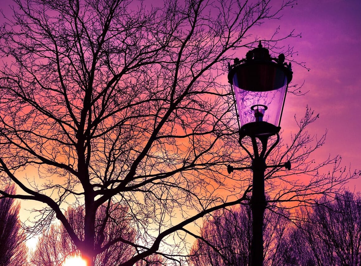 Wie is Eleonora Wagtendonk en wat is haar vermogen