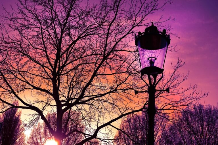 Wie is Eleonora Wagtendonk en wat is haar vermogen