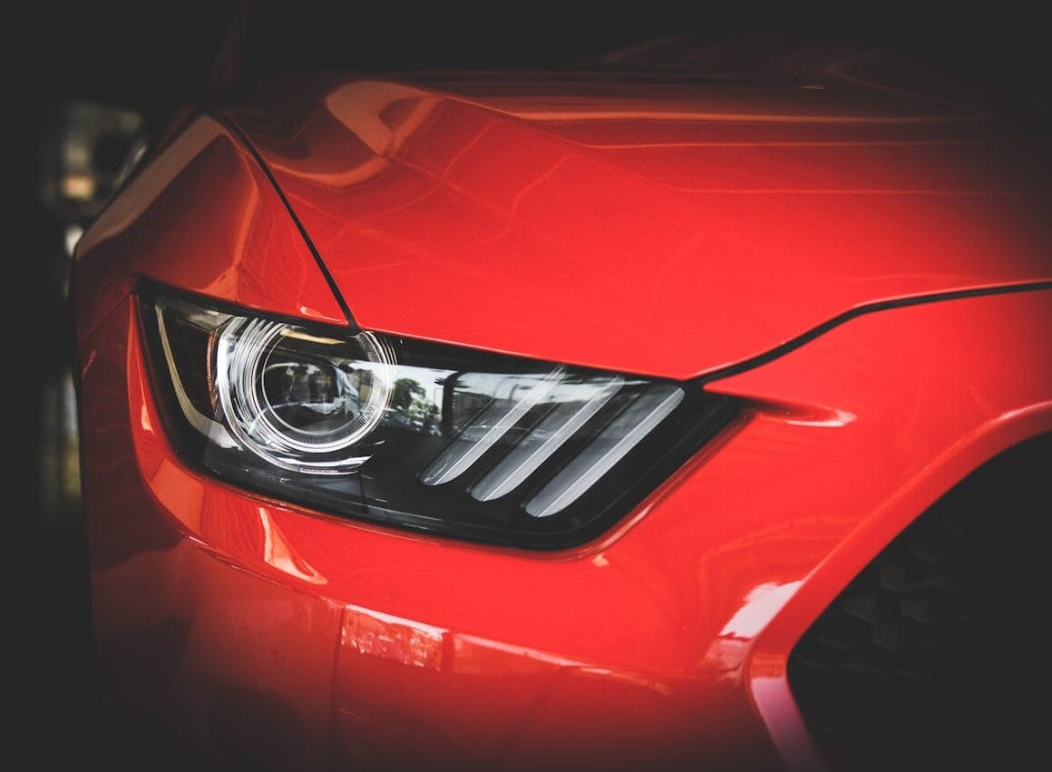 Wie is Wesley Adema en wat is zijn vermogen