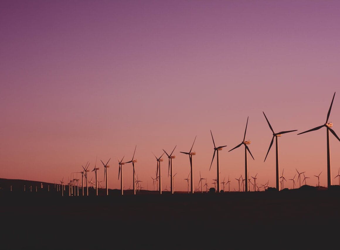 Dynamische of vaste zakelijke stroom