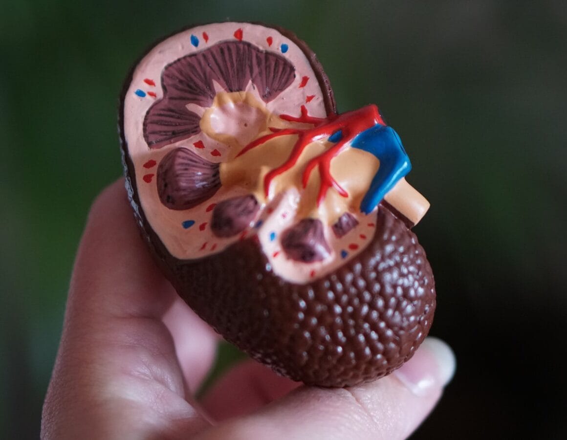 Tips als je gaat werken met nierbekkenontsteking