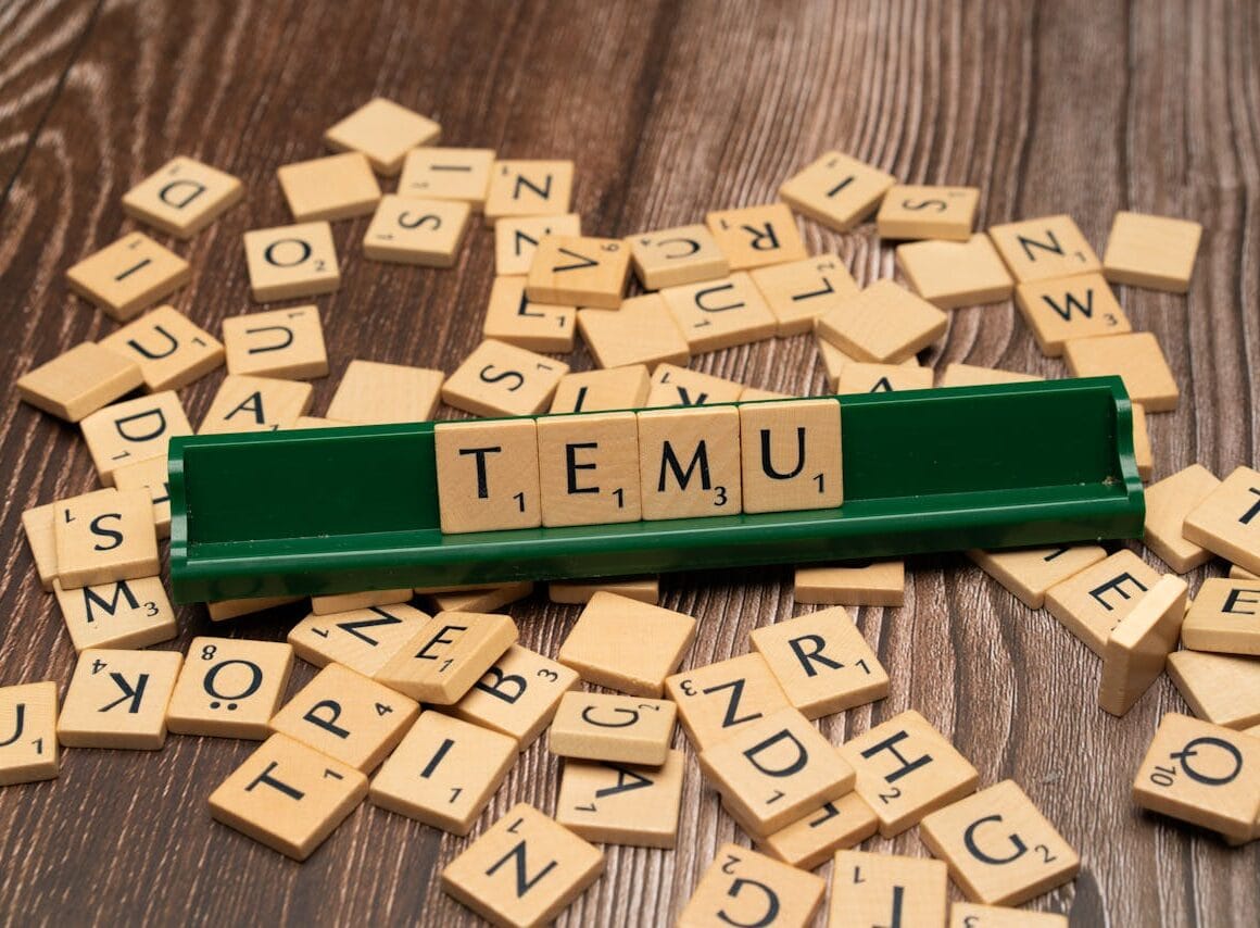 Temu Nederland Wat is het bedrijf, Reviews, Kortingscodes en meer