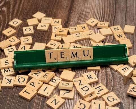 Temu Nederland Wat is het bedrijf, Reviews, Kortingscodes en meer