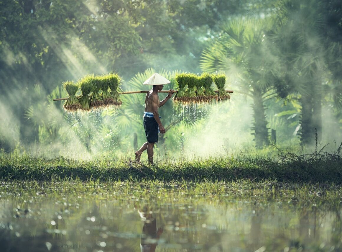 Carrière maken met impact de groei van groene beroepen