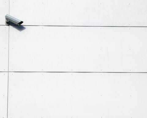 Privacyafwegingen in de Nederlandse digitale economie