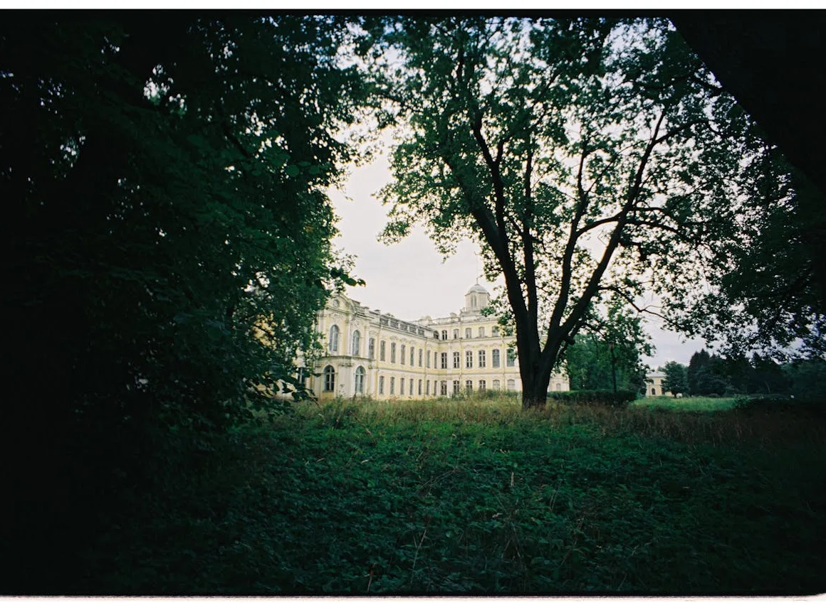 Ronnie van de Putte Wiki Leeftijd, Vermogen en meer weetjes