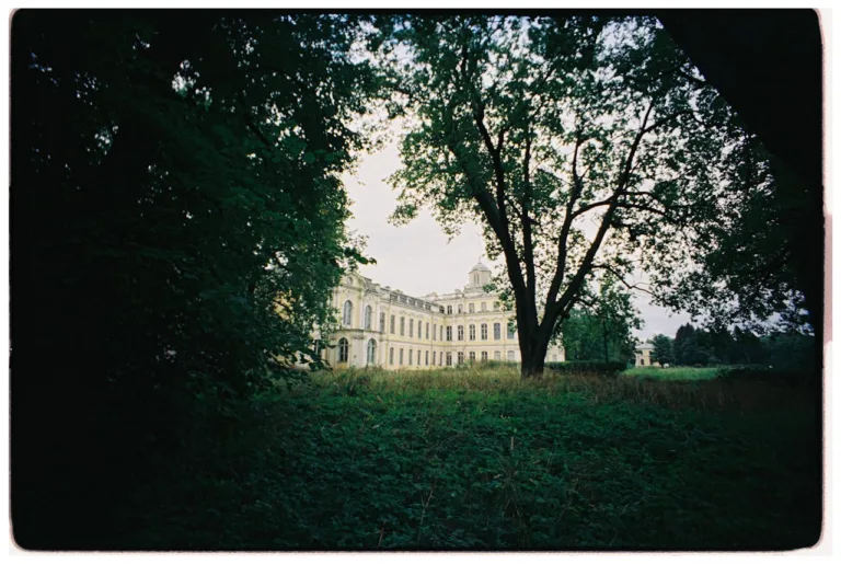 Ronnie van de Putte Wiki Leeftijd, Vermogen en meer weetjes