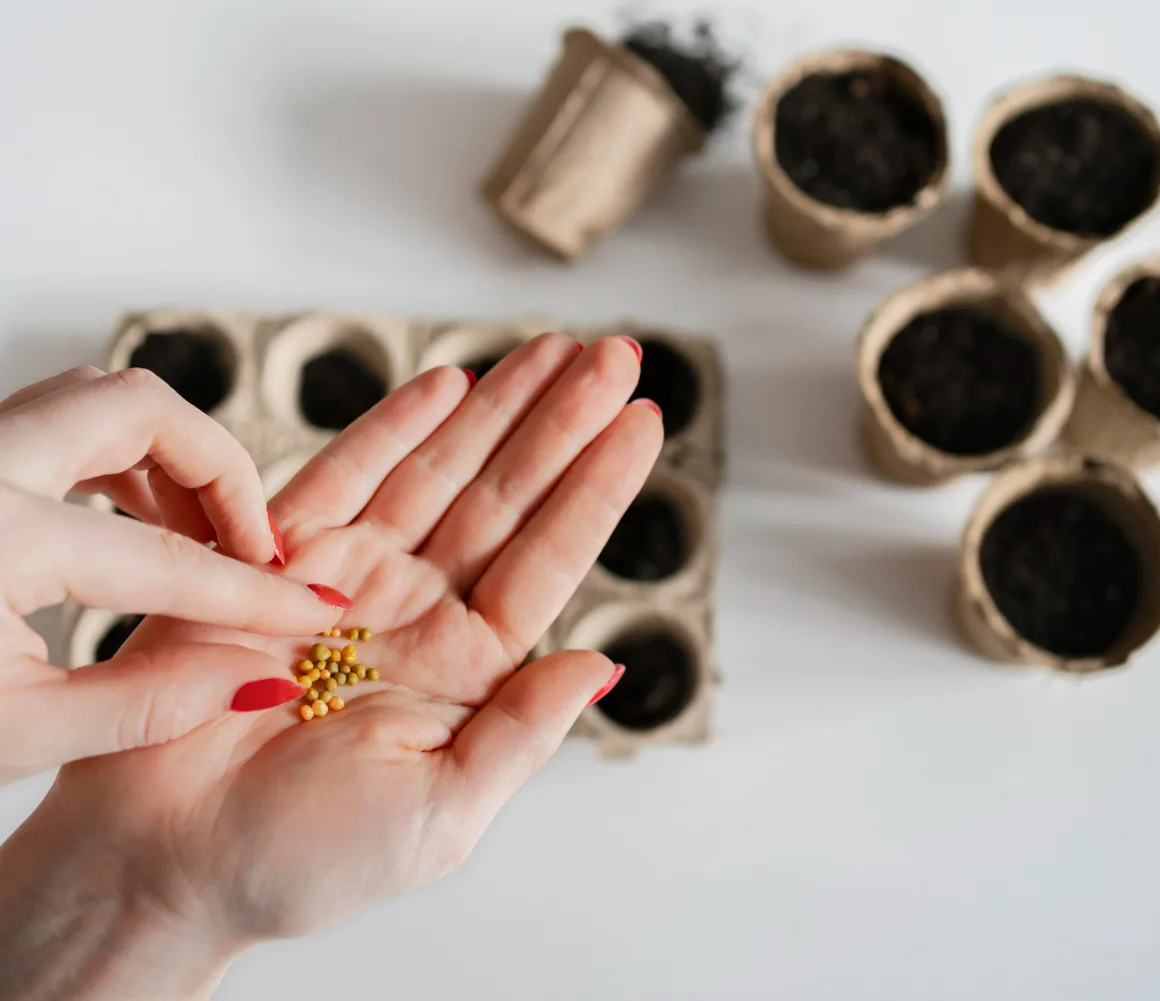 Ontwikkelingen in de tuinbouwsector