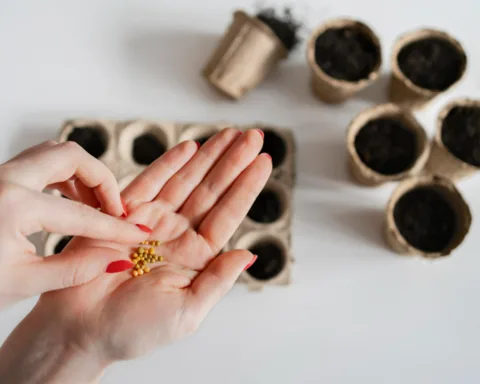 Ontwikkelingen in de tuinbouwsector