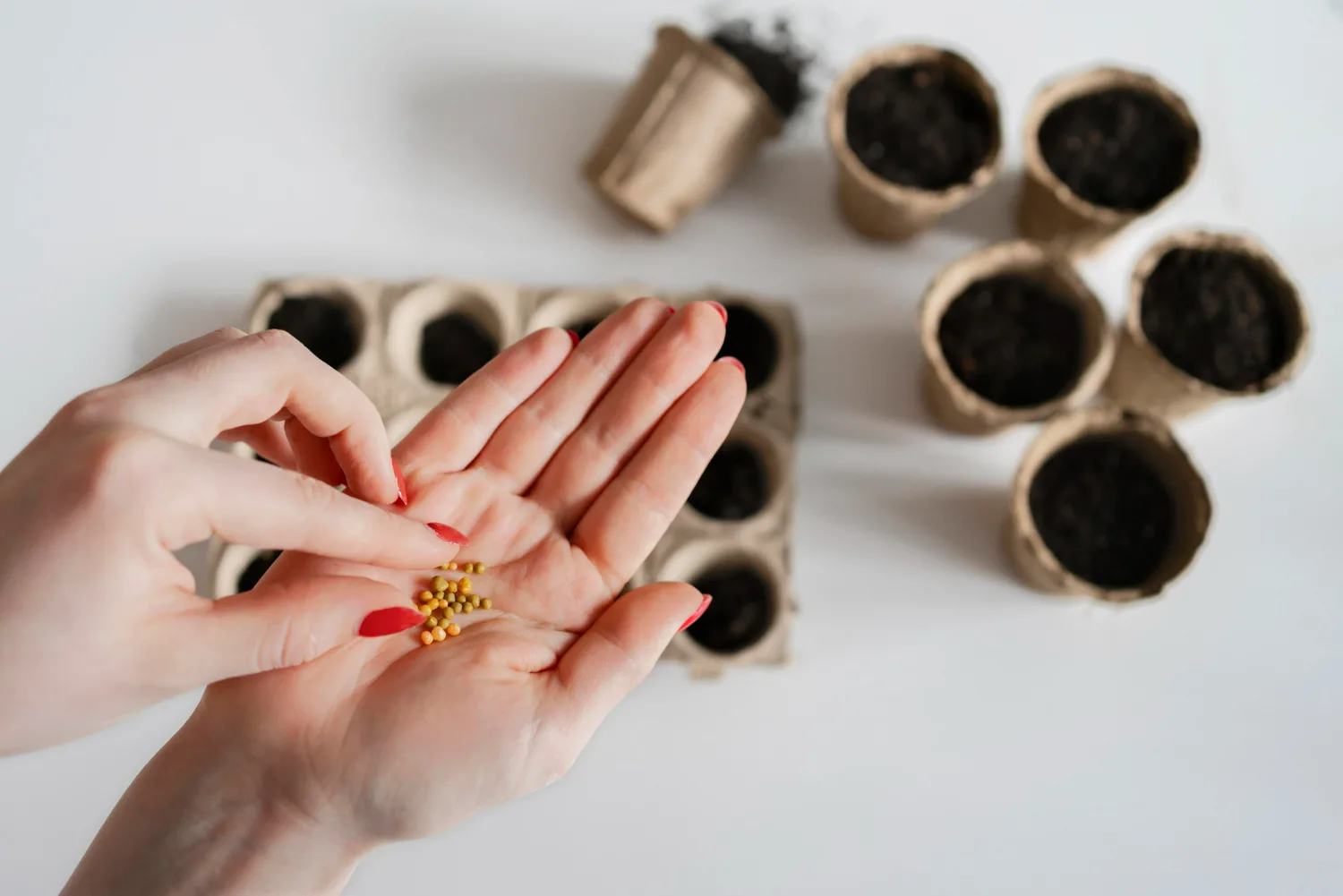 Ontwikkelingen in de tuinbouwsector