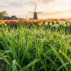 Grindpaden en opritten veilig oversteken