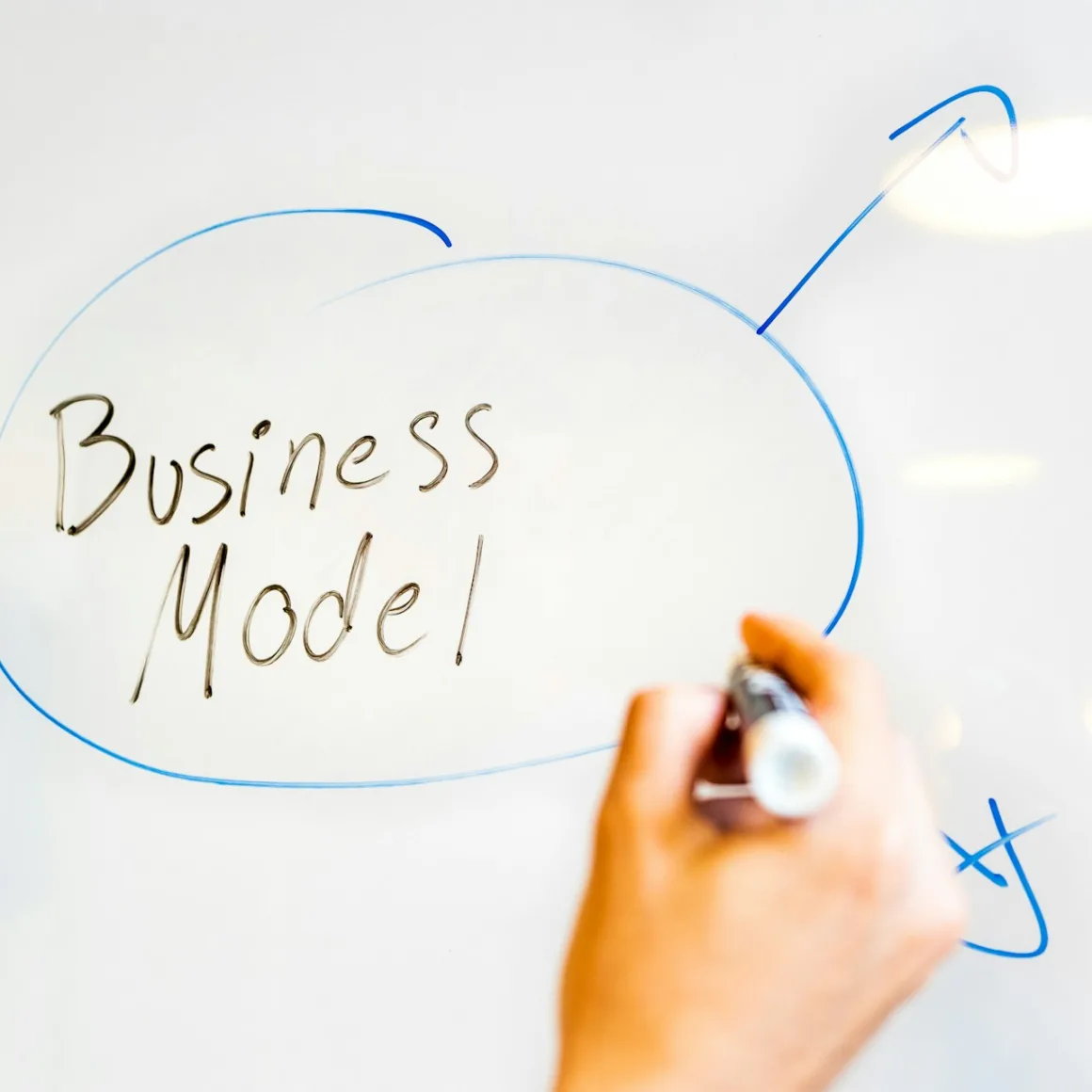 Businesscoach Lotte Pongers - Wat is haar vermogen