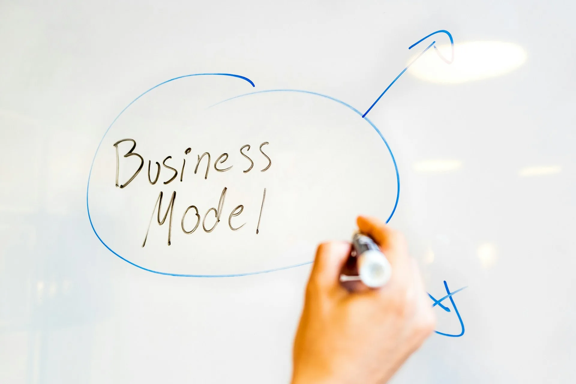 Businesscoach Lotte Pongers - Wat is haar vermogen